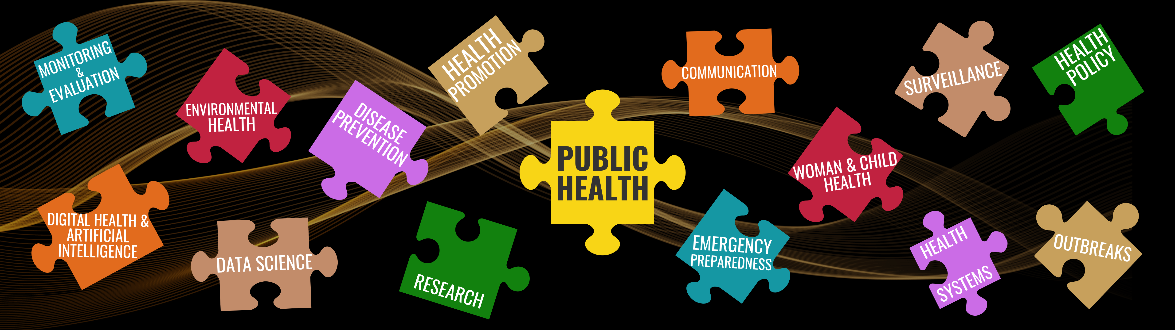 Public Health