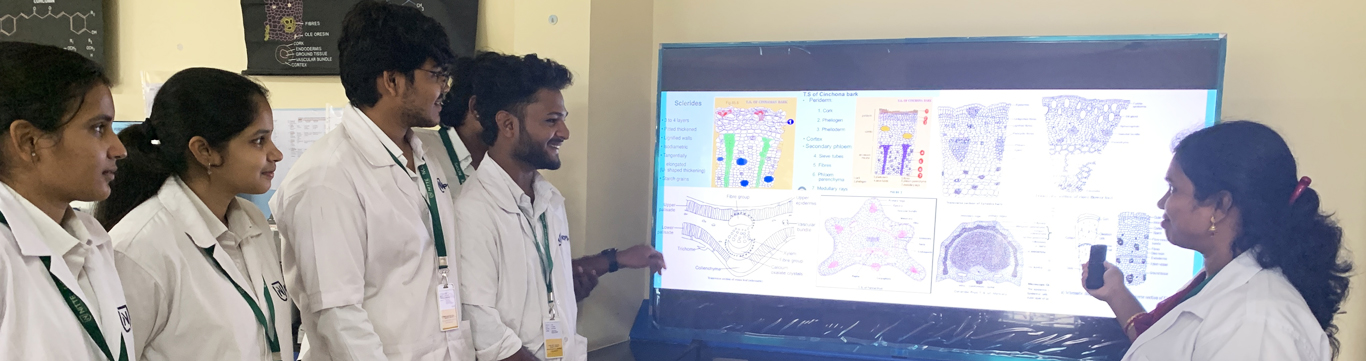 Btech in Ai & Datascience